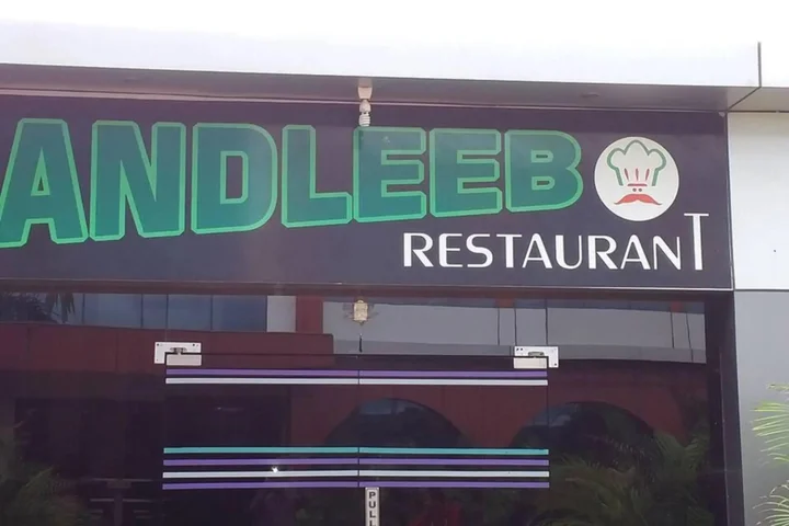 Вайдхан: Hotel Andleeb Palace