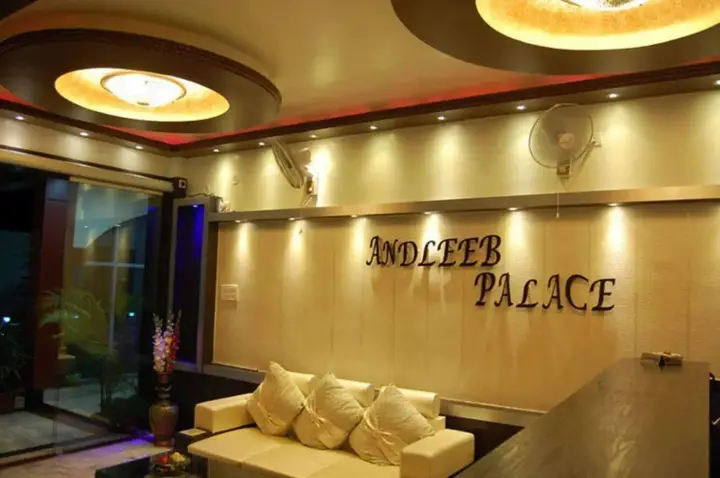Hotel Andleeb Palace — фото 5