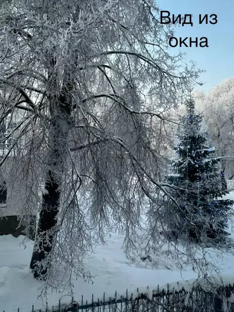 Великий Новгород: Хостел Любава