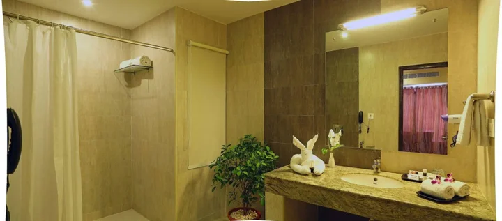Тирупати: Vihas Hotels