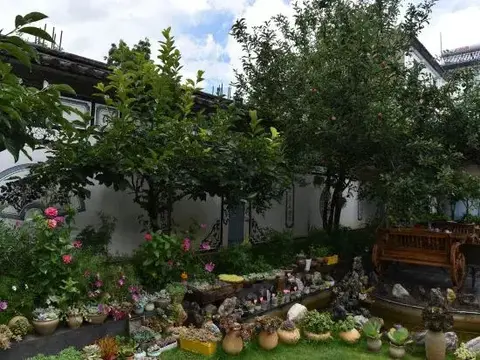 Дали: Shaxi Shahou Guyu