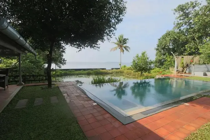 Cherthala: Hibiscus