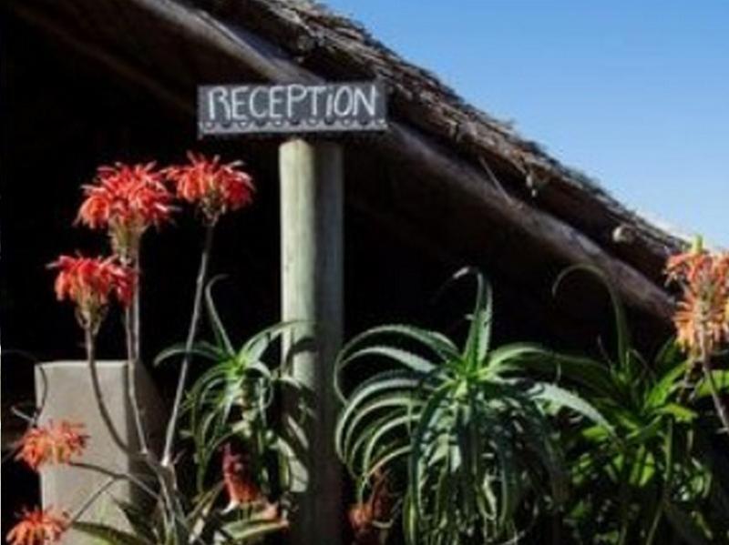 Цзиньчжун: Swell Eco Lodge