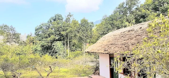 Бакха: Sa House Bac Ha