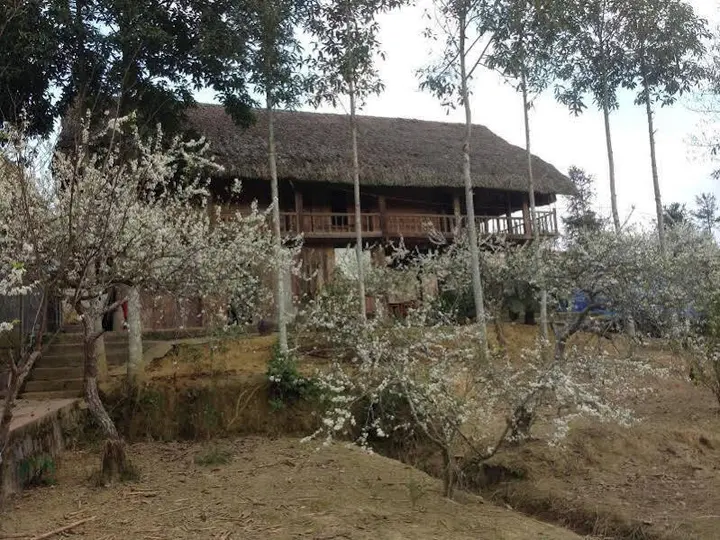 Бакха: Sa House Bac Ha