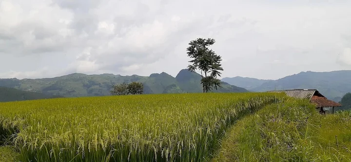 Бакха: Sa House Bac Ha