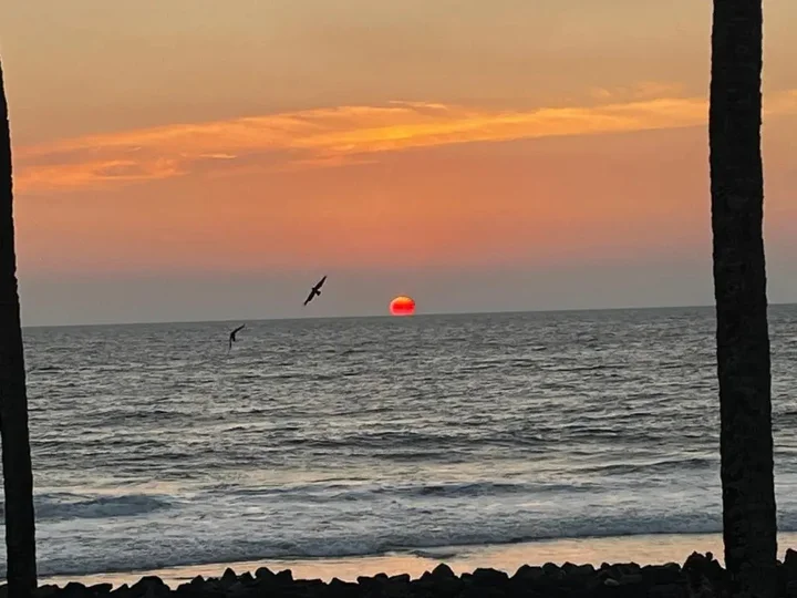 Варкала: Om-India-Om Good Karma Beach Resort