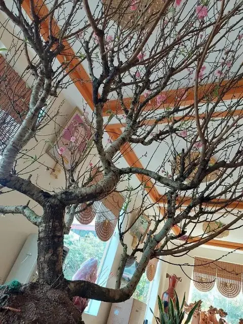 Хэкоу: Vinh Loc Hotel