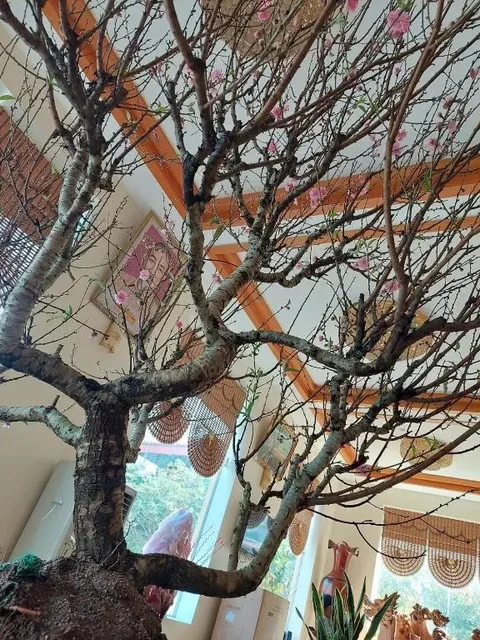 Хэкоу: Vinh Loc Hotel