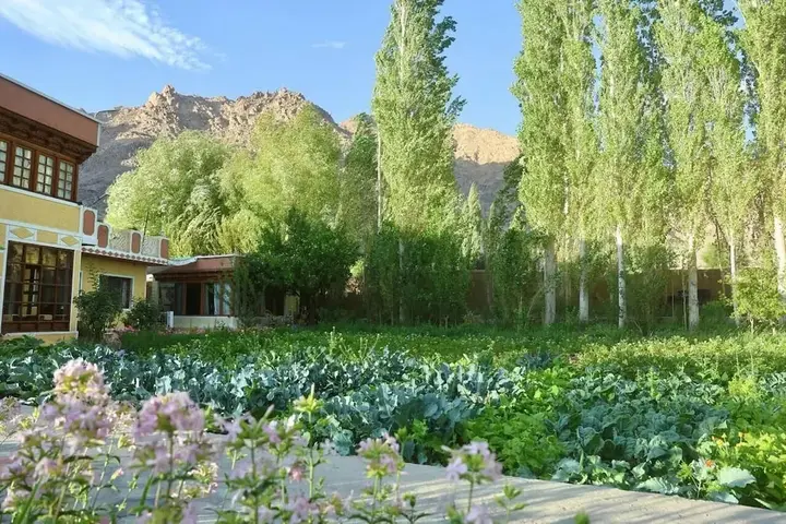 Лех: Trinity Home Stay
