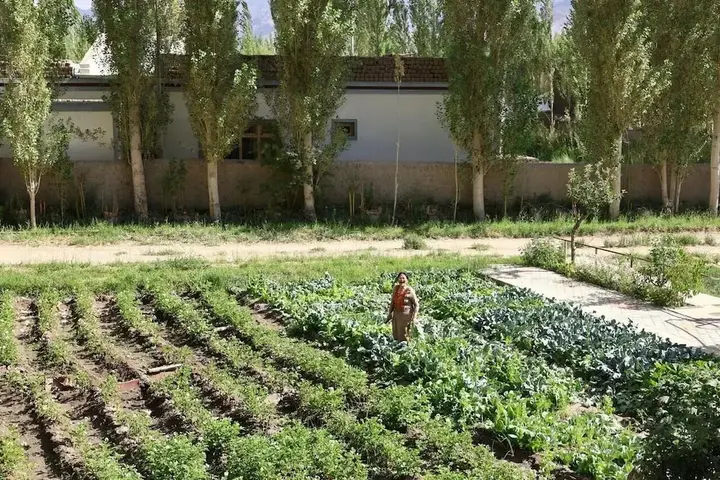 Лех: Trinity Home Stay