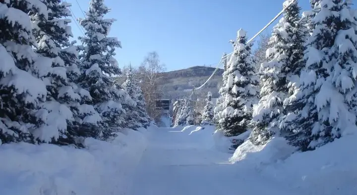 Цахкадзор: Cottage Guest House