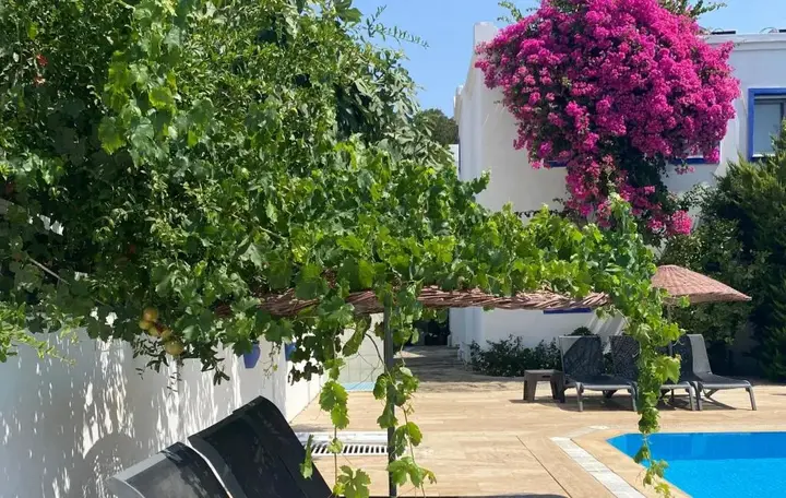 Бодрум: Ozgun Apart Otel
