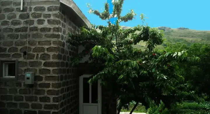 Цахкадзор: Bari Cottage Tsaghkadzor