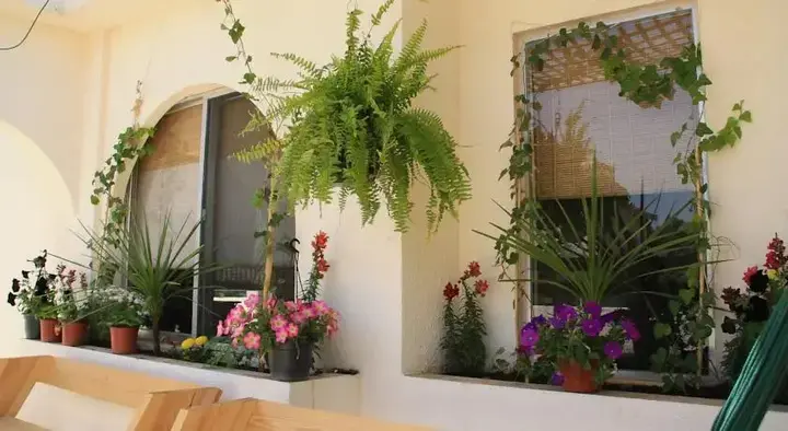 Амман: Amazing Two-Bedroom Apartment