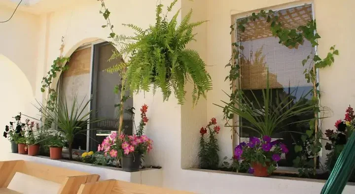 Амман: Amazing Two-Bedroom Apartment