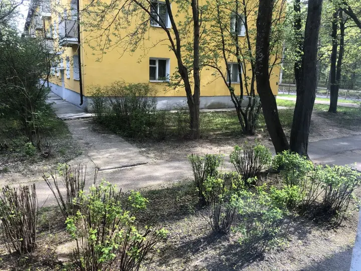 Сосновый Бор: Квартира Студия Белые Пески в Сосновом Бору
