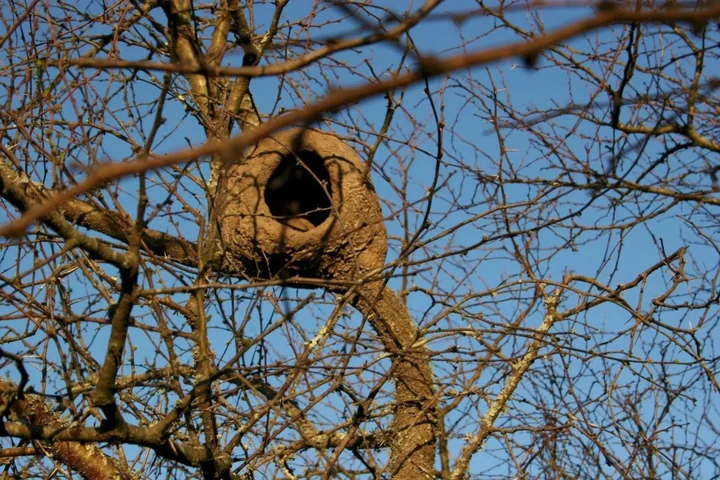 Пуна: Estancia Río de las Aves