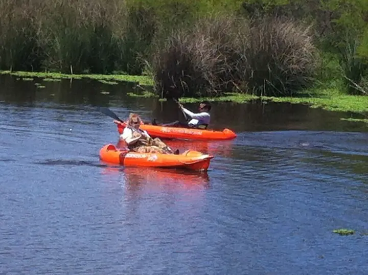 Пуна: Estancia Río de las Aves
