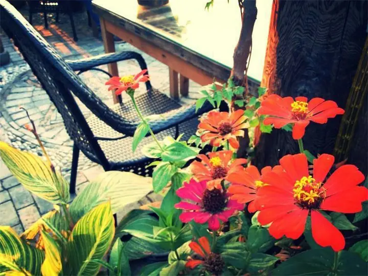 Сучжоу: Zhouzhuang Zhenfeng Riverside Courtyard Hostel