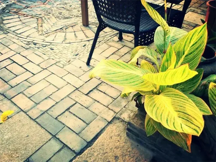 Сучжоу: Zhouzhuang Zhenfeng Riverside Courtyard Hostel