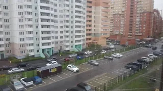 Санкт-Петербург: Апартаменты Уютные на Звёздной