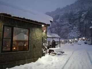 Хамышки: Гранд Хаус