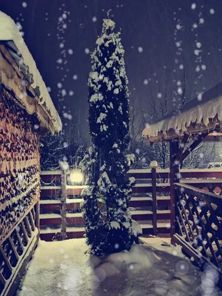 Хамышки: Гранд Хаус