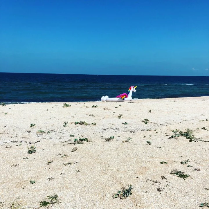 Соляное: Вилла На первой линии моря