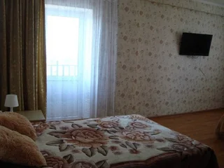 Нижний Новгород: Апартаменты на Мичурина 1