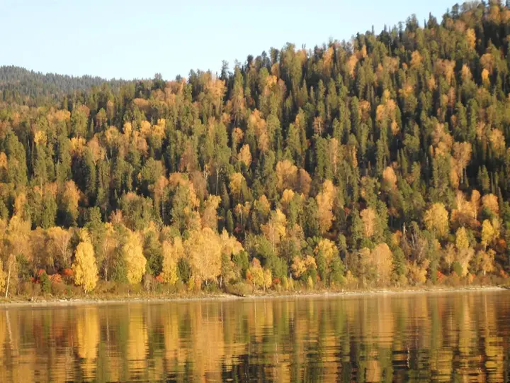 Телецкое озеро: Sokol Guest House
