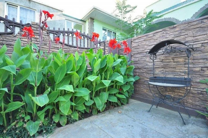Николаевка: Nairi Guest House