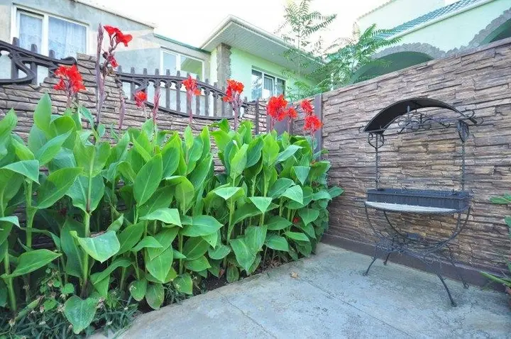 Николаевка: Nairi Guest House