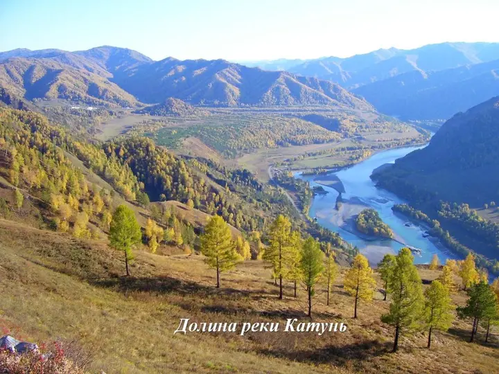 Чемал: Guesthouse V Sosnovom Boru