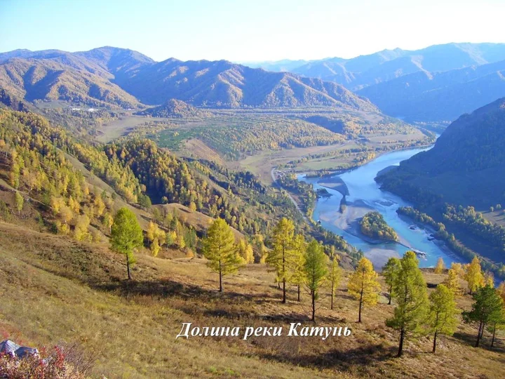 Чемал: Guesthouse V Sosnovom Boru