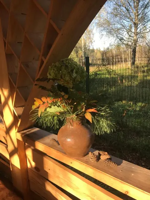 Соузга: Guest house Hutorok