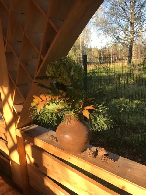 Соузга: Guest house Hutorok