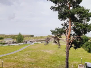 Печки: База Отдыха Озерная