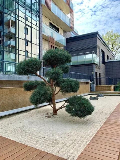 Светлогорск: Апартаменты Raushen Prestige 8