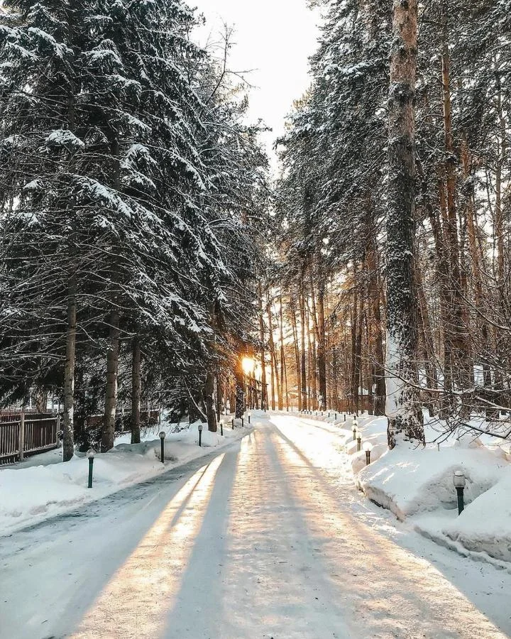 Звенигород: Отель Лесные Дали