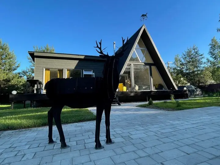 Дом Шварцвальд A-frame с сауной — фото 1