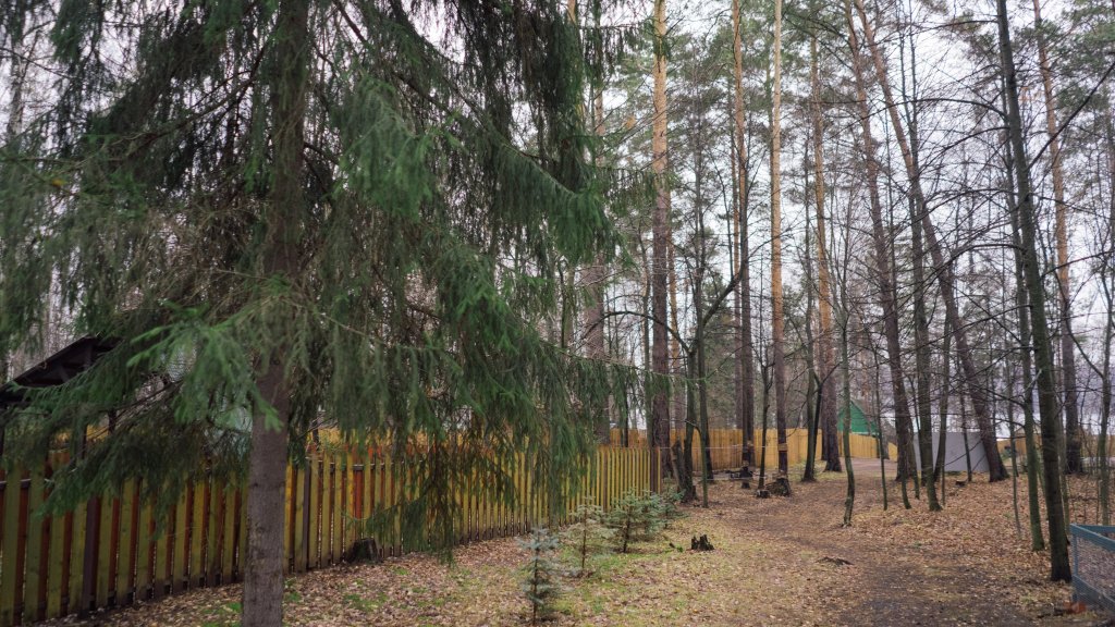 Набережные Челны: База Отдыха Слобода