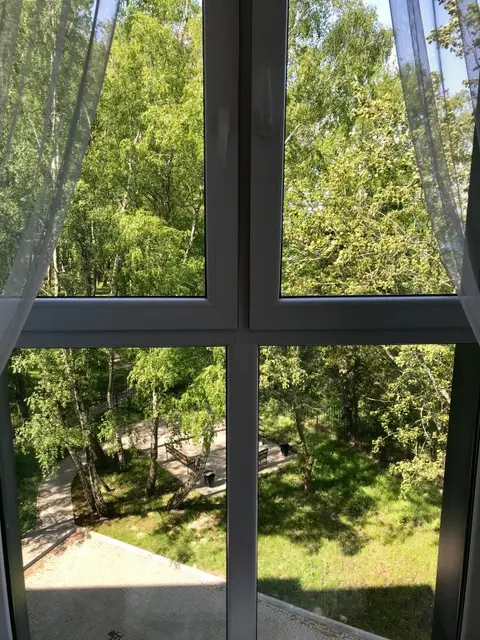 Светлогорск: Апартаменты Sunny Svetlogorsk 27 с видом на море