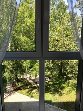 Светлогорск: Апартаменты Sunny Svetlogorsk 27 с видом на море