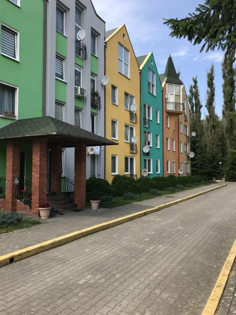 Светлогорск: Апартаменты SV Зеленый двор