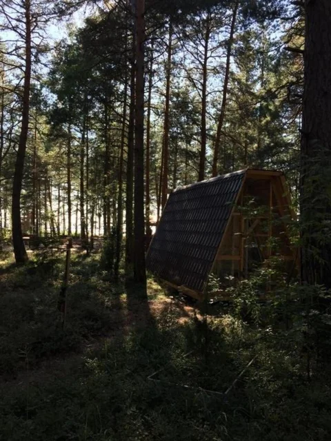 Сосновый Бор: Сёрф-станция Wind Hunters Station