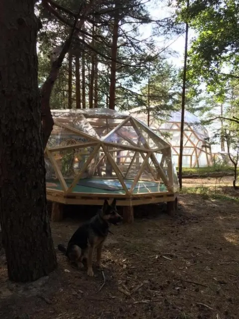 Сосновый Бор: Сёрф-станция Wind Hunters Station