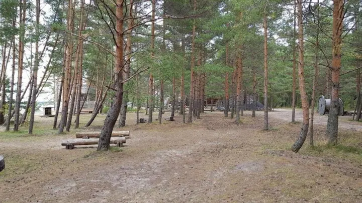 Сосновый Бор: Сёрф-станция Wind Hunters Station