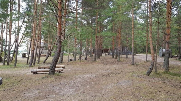 Сосновый Бор: Сёрф-станция Wind Hunters Station