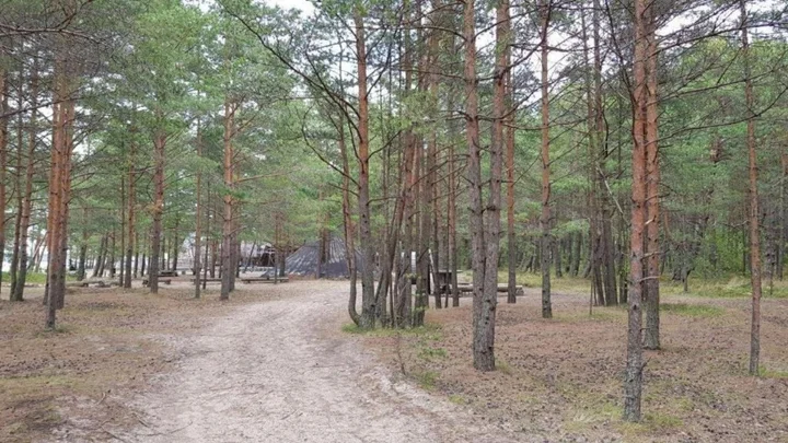 Сосновый Бор: Сёрф-станция Wind Hunters Station